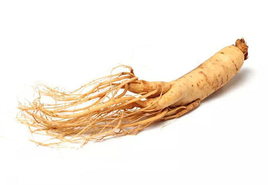 Ontdek de Geheimen van Originele Ginseng Crème