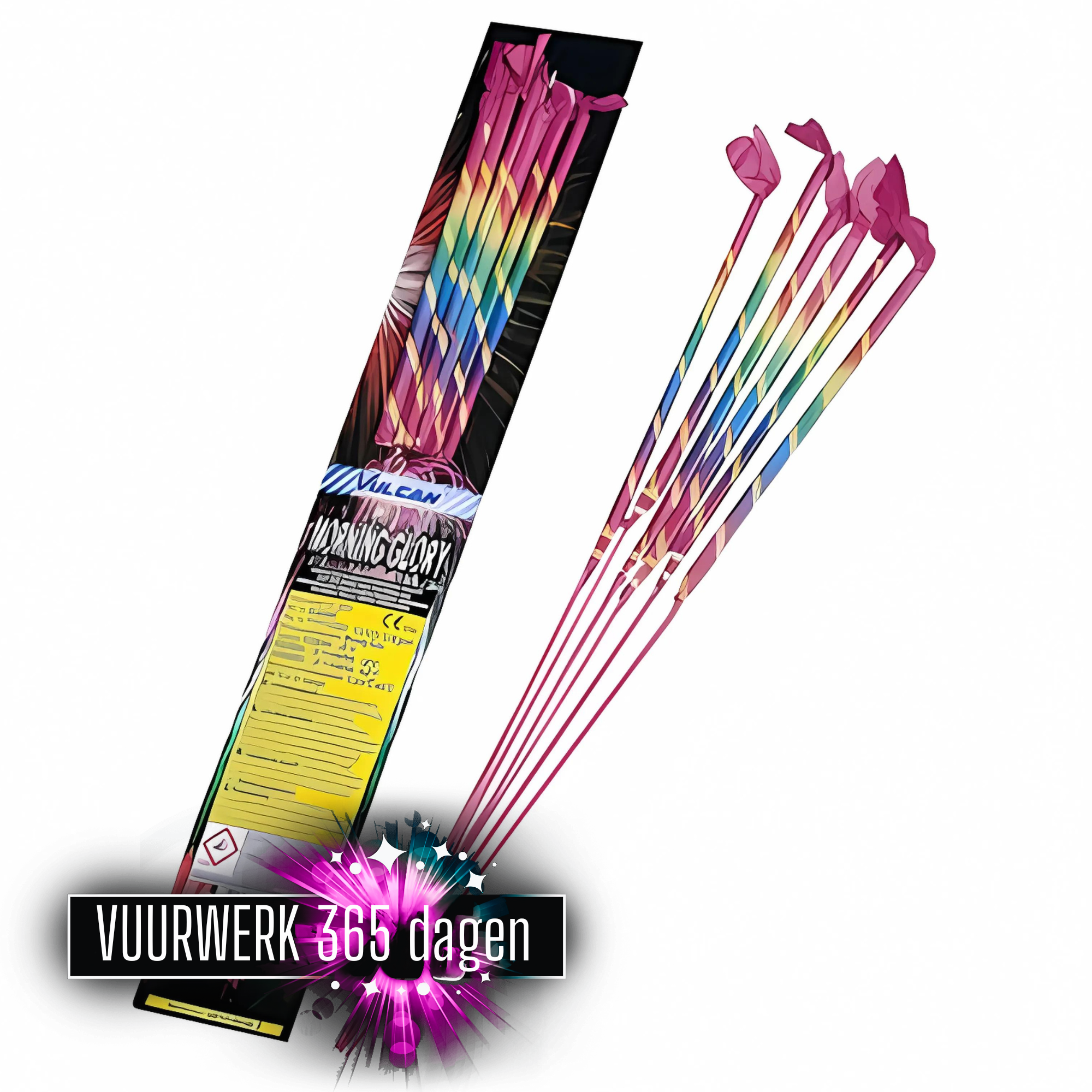 Morning Glory gekleurde sterretjes