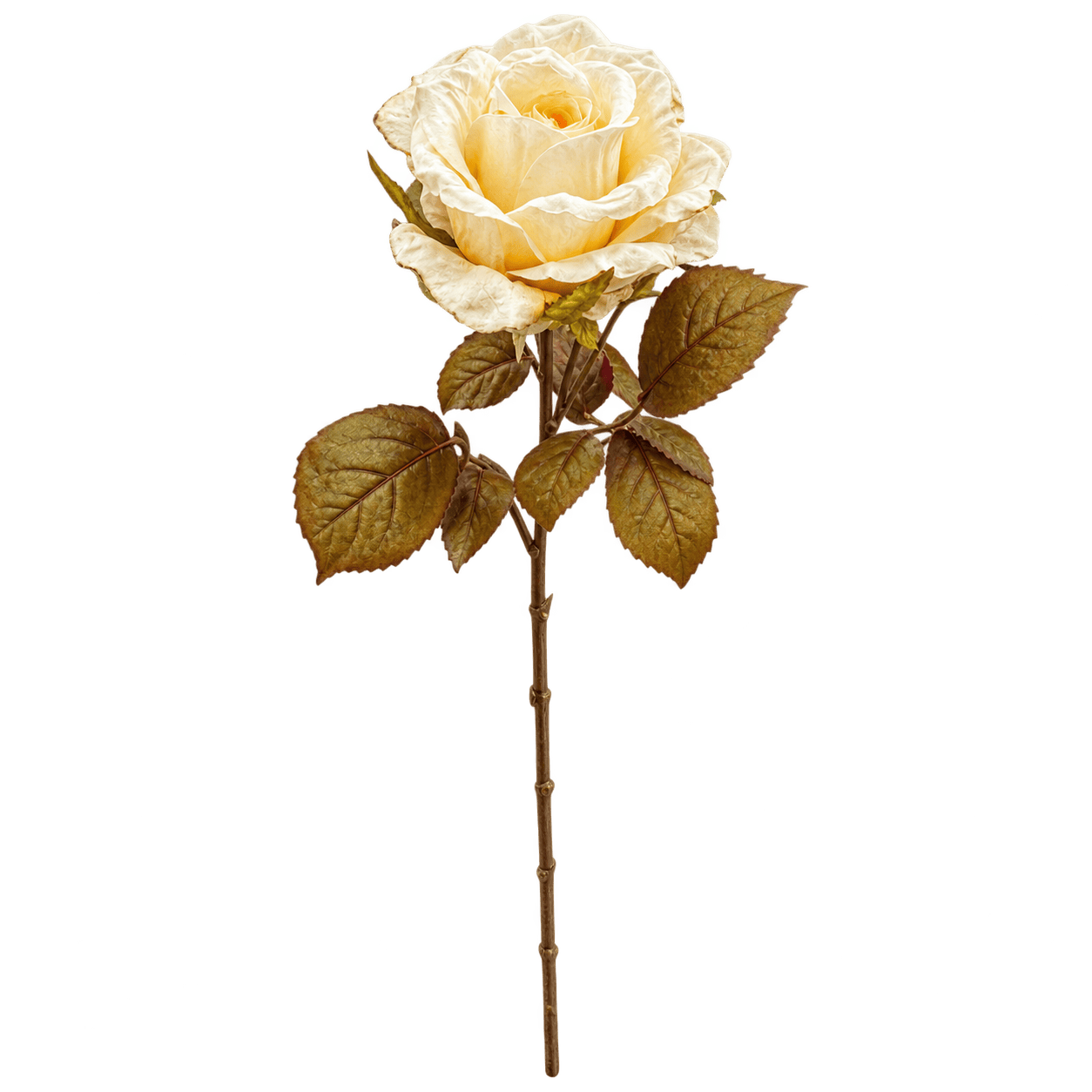 Kunstroos crème met gedroogde look – 64 cm