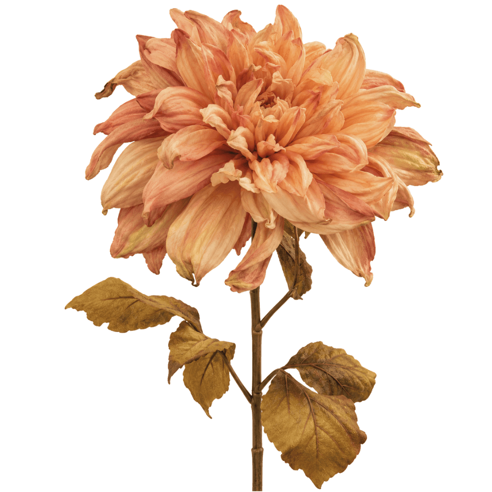 Kunst Dahlia | 74 cm | Roze | Droogbloemenlook
