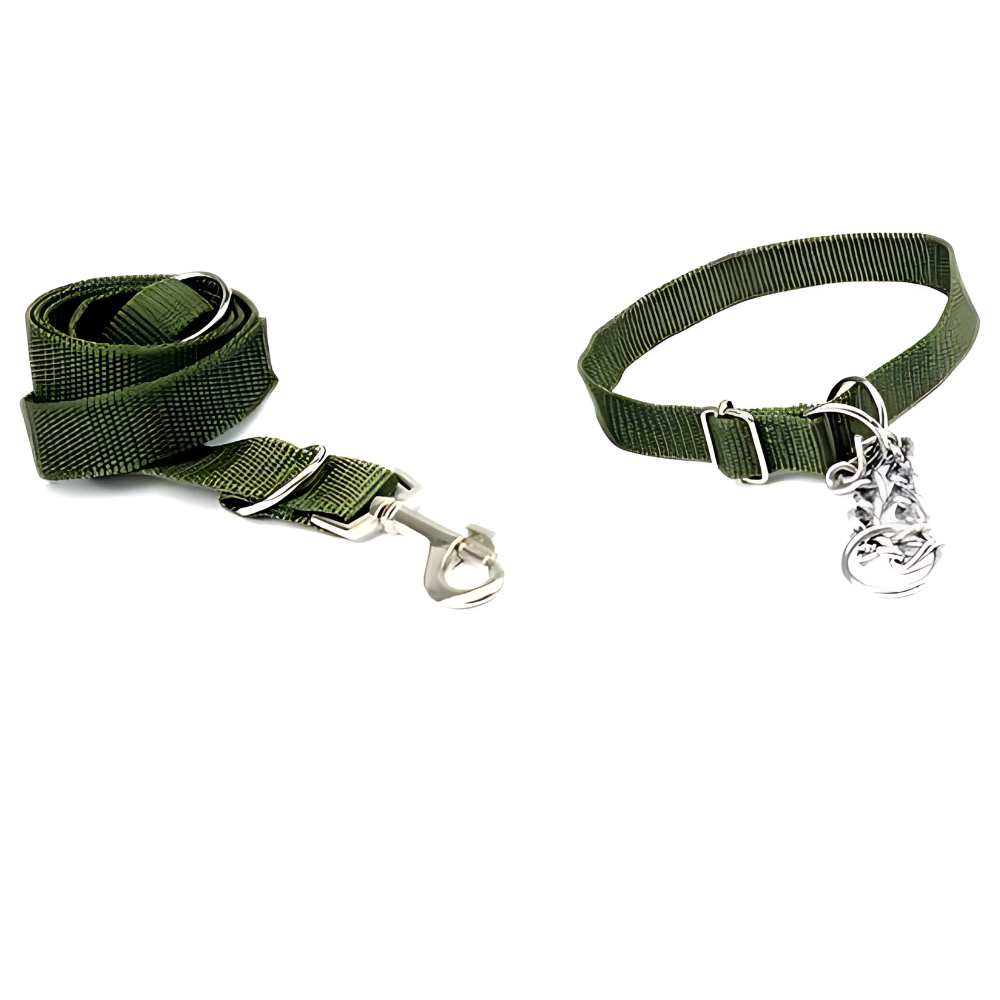 Honden riem met halsband - aanpasbaar - groen