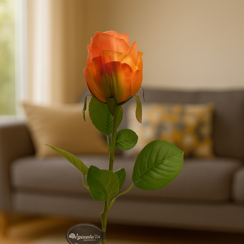 Klassieke hoogwaardige rozen  74 cm -OR