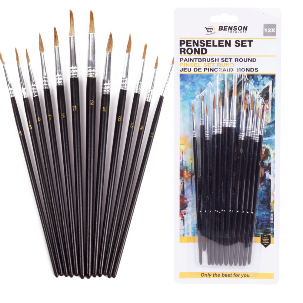 Penseelset 12 dlg rond