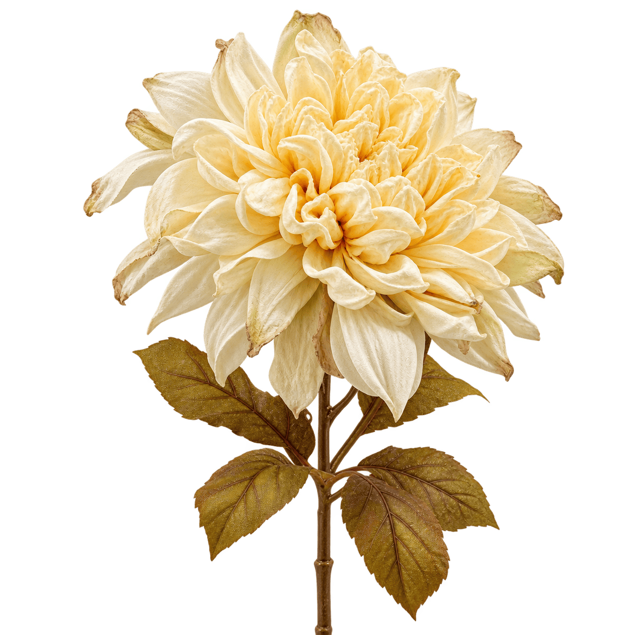 Kunst Dahlia | 74 cm | Crème | Droogbloemenlook
