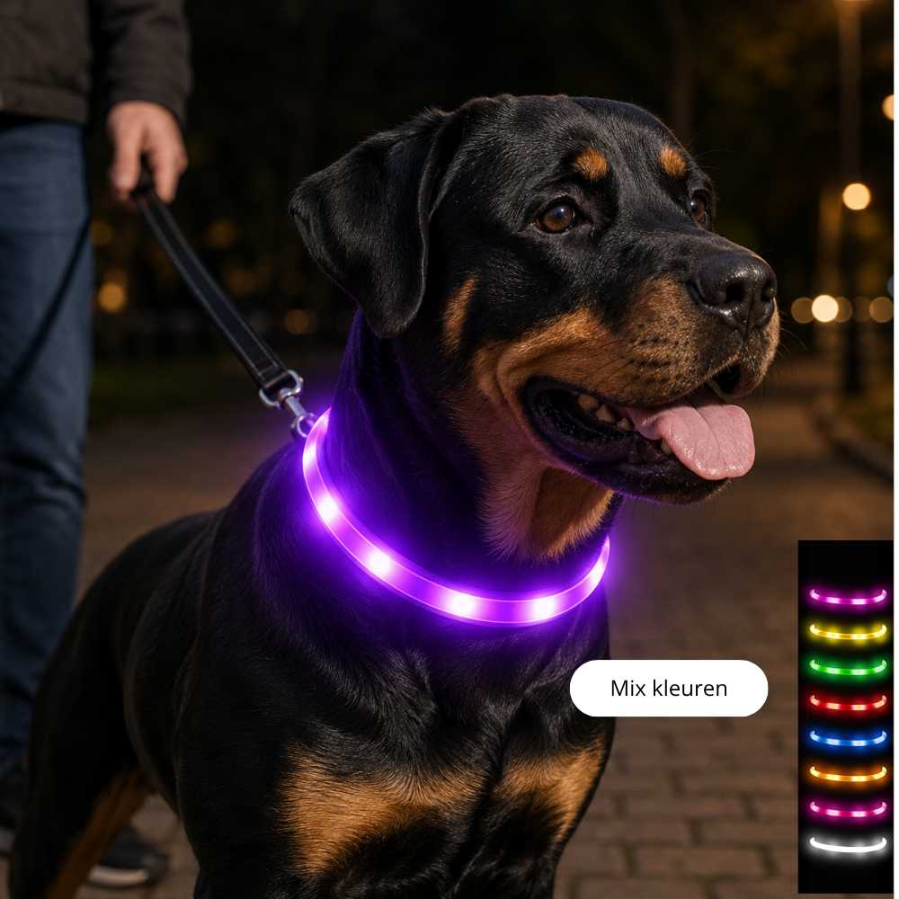 LED Hondenriem 90 cm – Knipperend & Fluorescerend | Veilig Uitlaten in het Donker