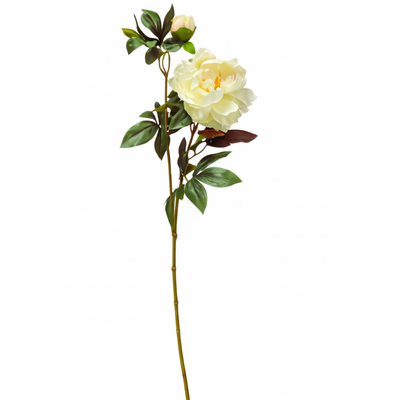 Kunstbloem Pioenroos - Wit/Crème - 68 cm hoog - Bloemdiameter 15 cm - Levensechte Zijden Bloem