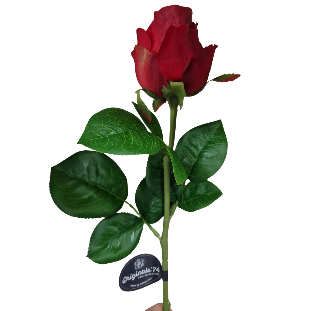Klassieke hoogwaardige rozen 74 cm -RO