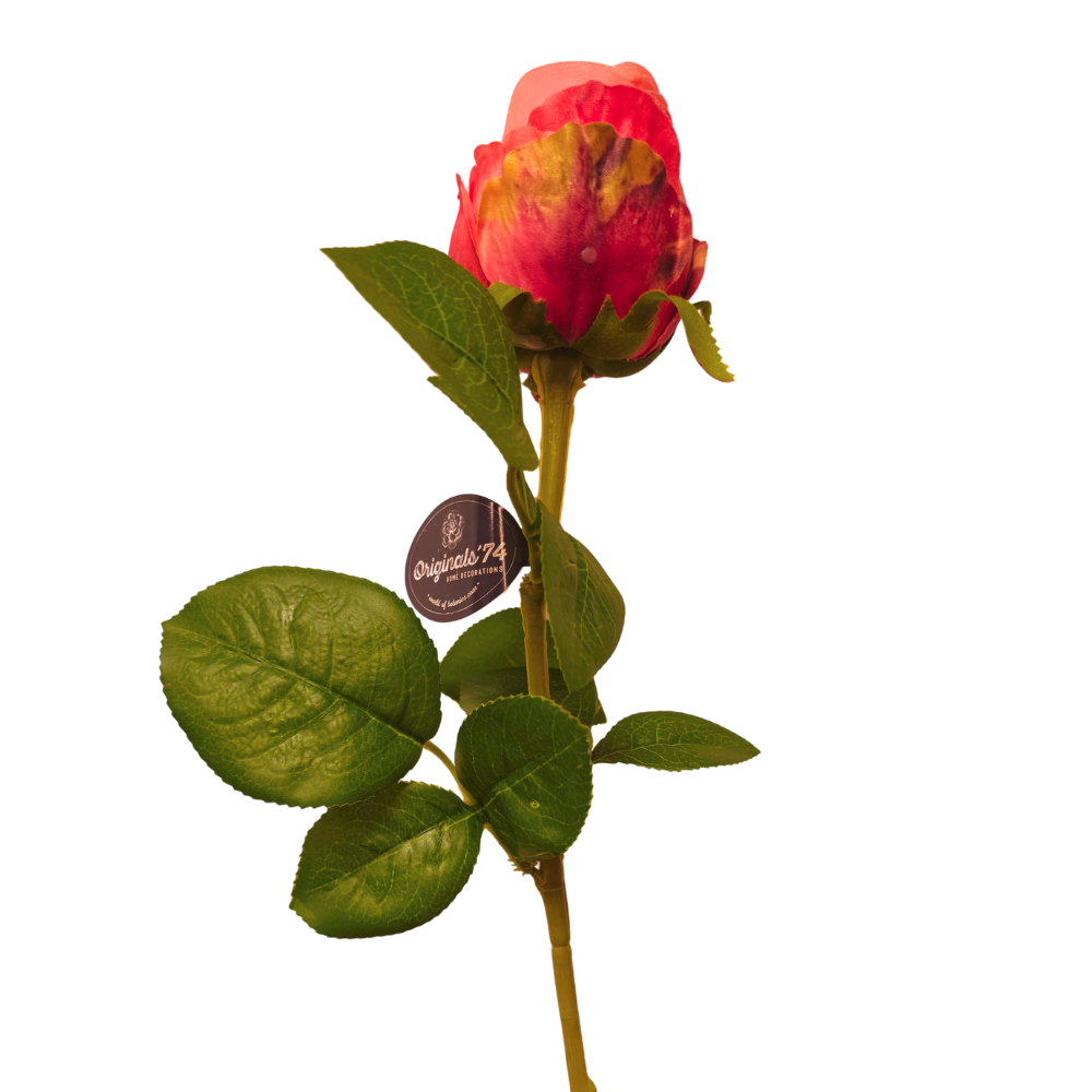 Klassieke hoogwaardige rozen 74 cm -FSA