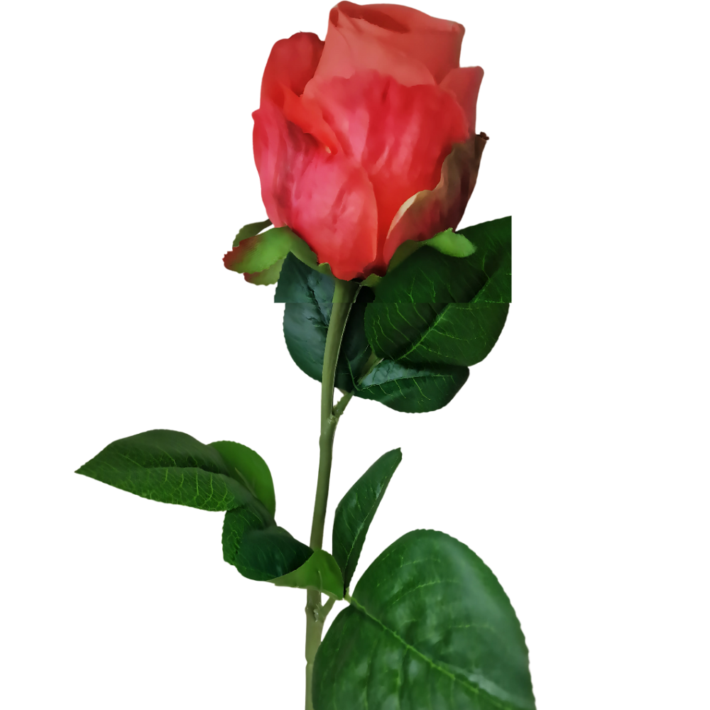 Klassieke hoogwaardige rozen 74 cm -FSA