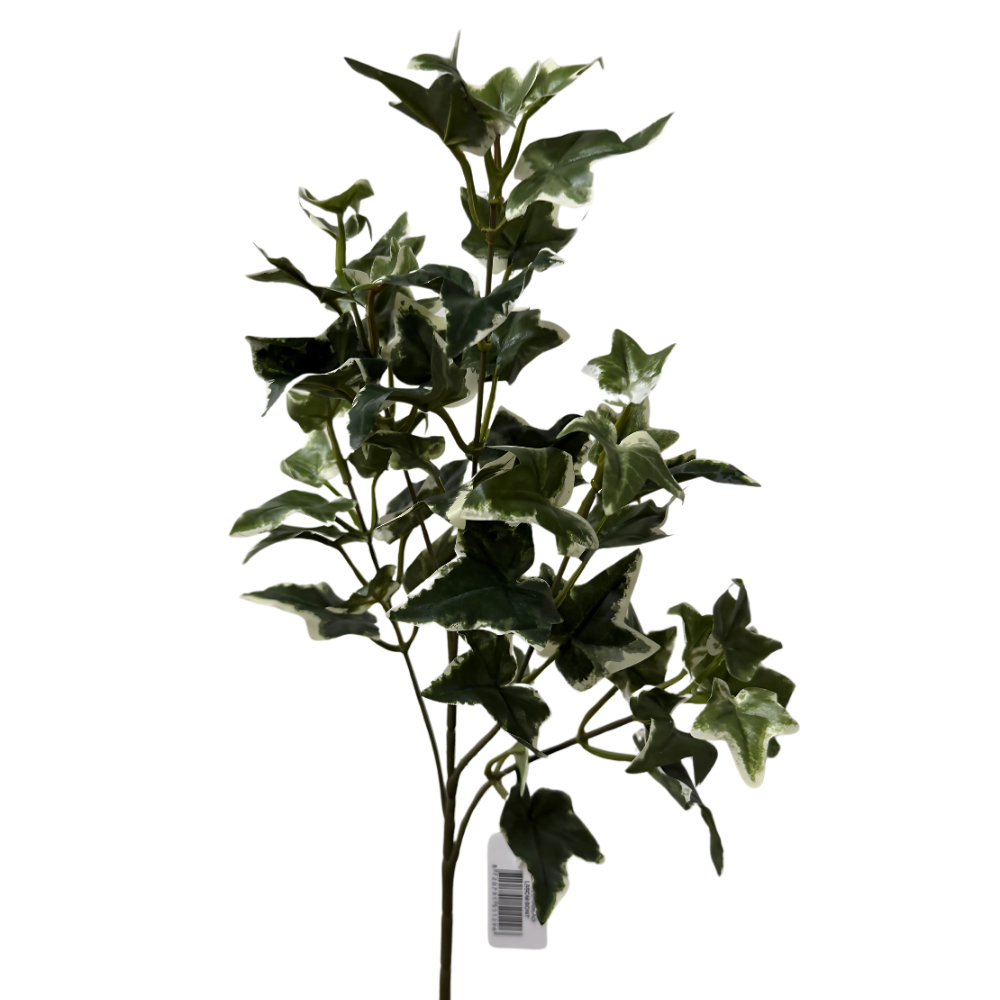 Hedera Kunsttak 55 cm Bont