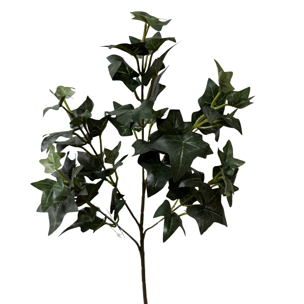 Hedera Kunsttak – 55 cm Groen en Onderhoudsvrij
